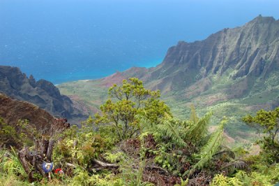 Waimea Canyon 10.jpg