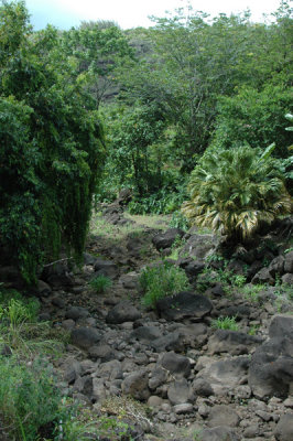Waimea Valley 09.jpg