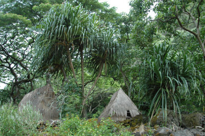 Waimea Valley 14.jpg