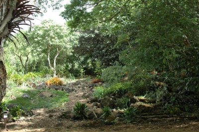 Waimea Valley 20.jpg