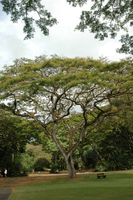 Waimea Valley 31.jpg