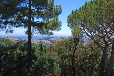 Hearst Castle 03.jpg