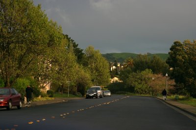 10D-3010.jpg