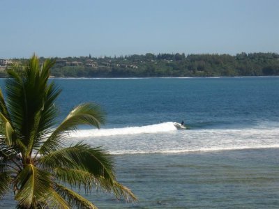 Surfer
