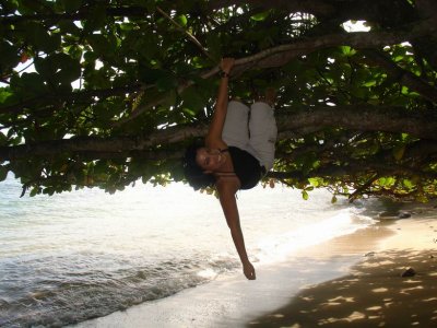 Tree Nut