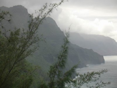 Vista