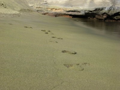 Green Beach