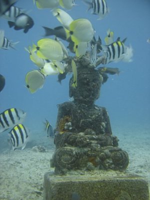 The Buda
