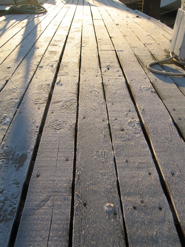 frost on the dock in the sunrise