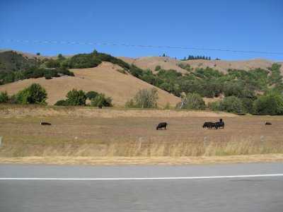 the drive out