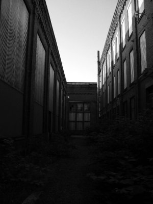 303.JPG