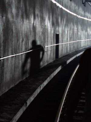 478.JPG