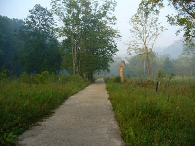 867.JPG