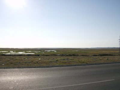 Marshy area at edge of Lake Balkash