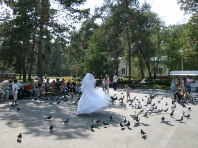 Bride dancing with the pigeons, Zenkov Cathedral