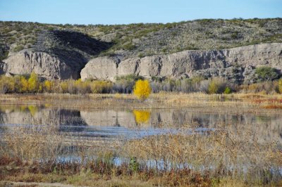 Pond at the Bosque
