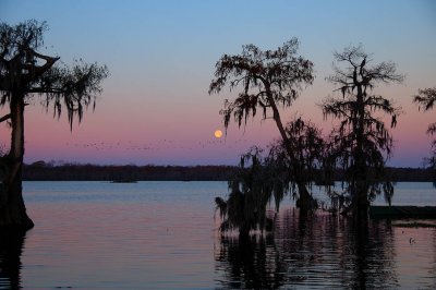 Setting Moon