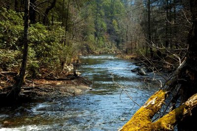 Abrams Creek