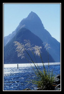 Mitre Peak a fjordland