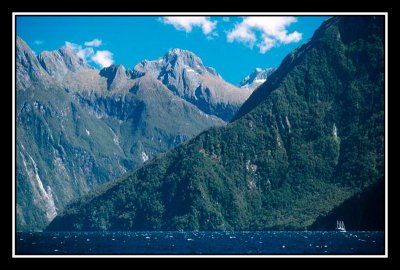 Milford sound  fjordland