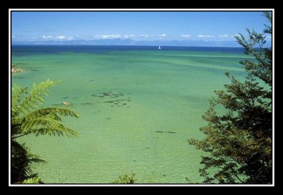 Parc national d'Abel tasman