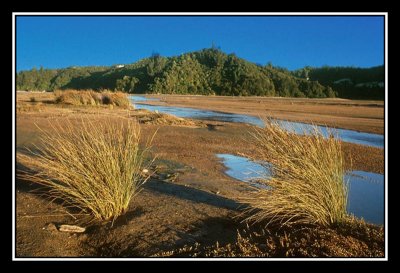 Parc national d'Abel tasman