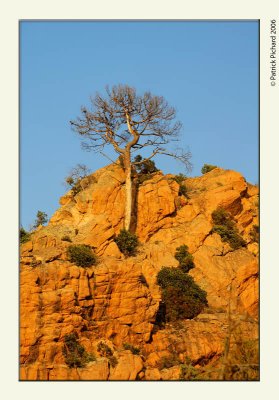 Les calanques de Piana