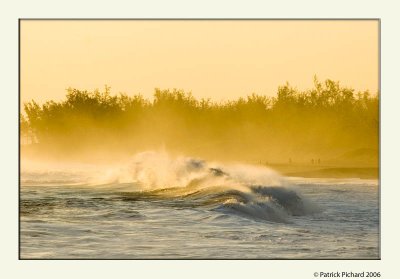 Vague  Etang Sal