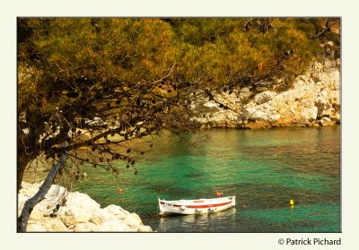 _DSC2165_nx copie copie.jpg