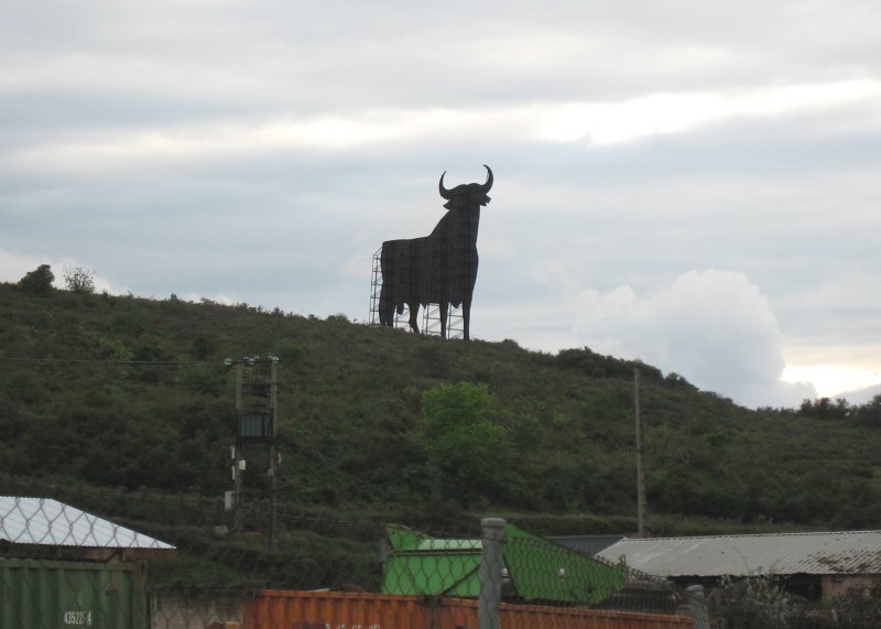 The Osborne bull on the way to Navarrete