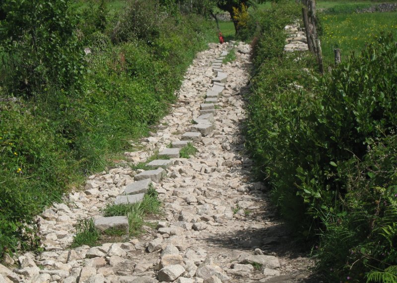 The sea of stone continues uphill