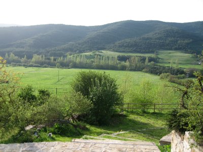 The lush Navarran landscape