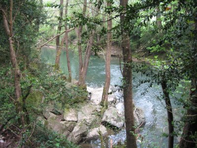 The trail alongside the Arga River