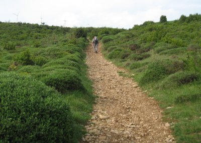 The long, stoney climb towards the top