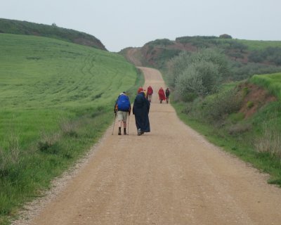 Just another walk under the rain