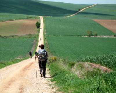 Irena walking along the wheatfields in the meseta