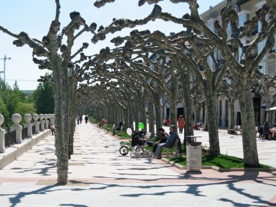 Typical streetside covered by plataneras