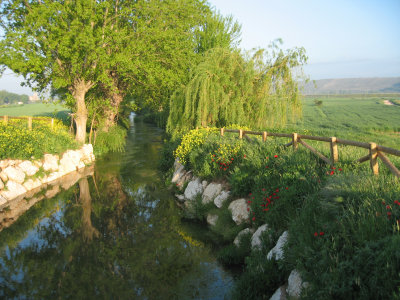 Landscape after Burgos