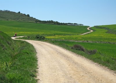 Last climb before Boadilla del Camino