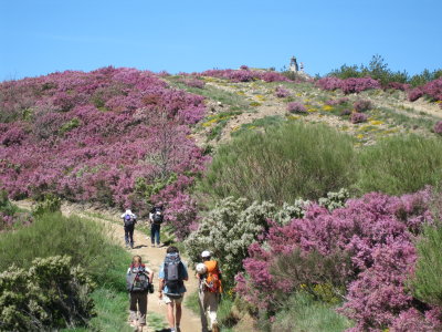Monte Irago at 1515 m (highest point in the camino)