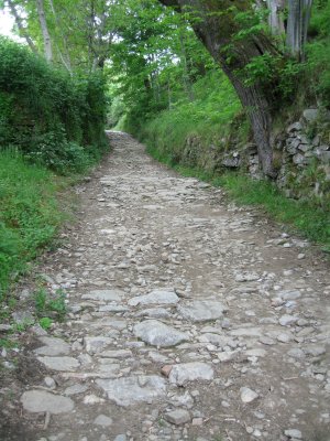 The long climb to Cebreiro continues