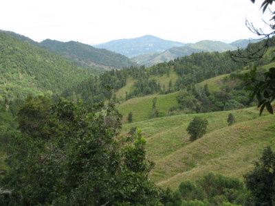 Etapa E: Vista a las montaas en Guavate