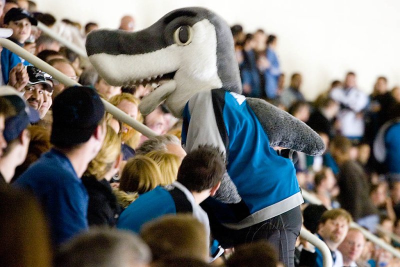 Sharkie is on his way to harrass someone