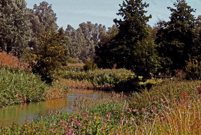 Barnwell Country Park.