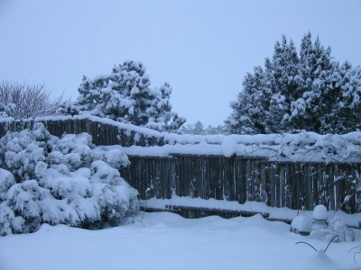  Santa Fe Snow
