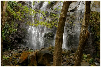 IMGP3177Anse des Cascades.jpg