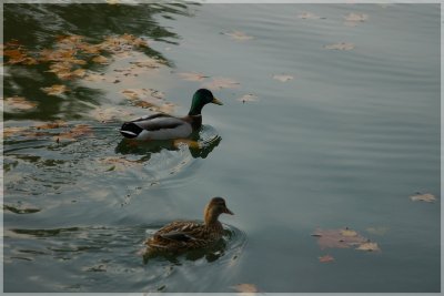 Rencontre megapixel à Toulouse