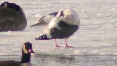 15 January Images - Jim Mattson