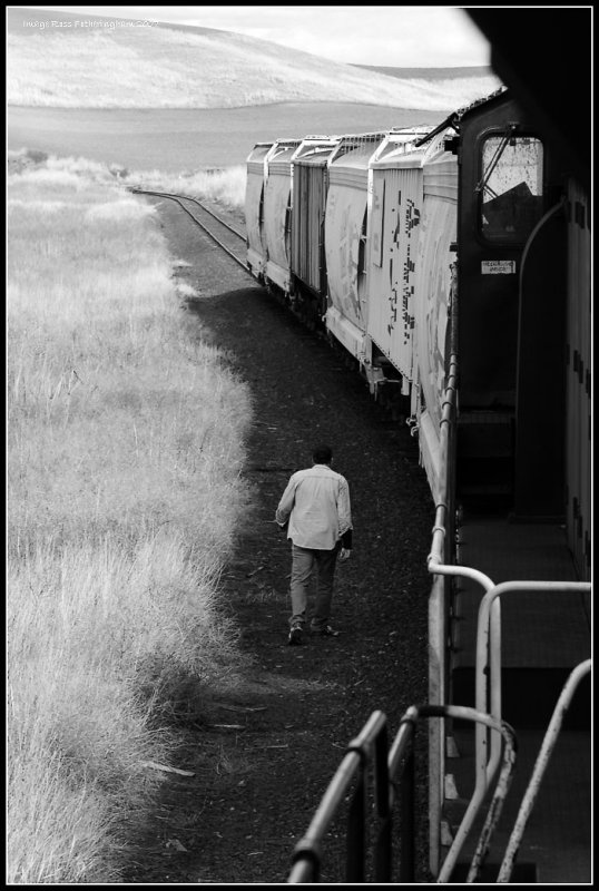 Walking the Train