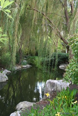 Chinese Friendship Garden